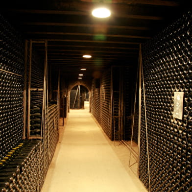 Château de Meursault