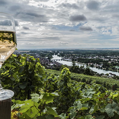 Cycle ride - Auxerre - Joigny - North of Auxerre along the river