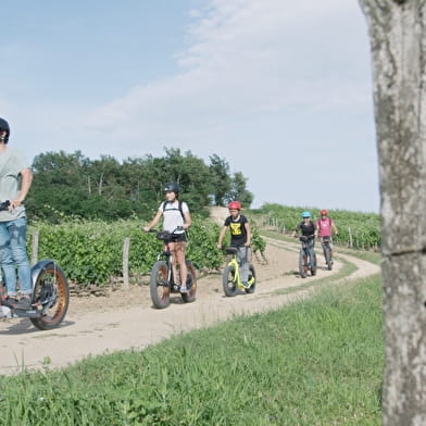 E-Trott ride in Saint-Bris-Le-Vineux - Vignobles et Sensations