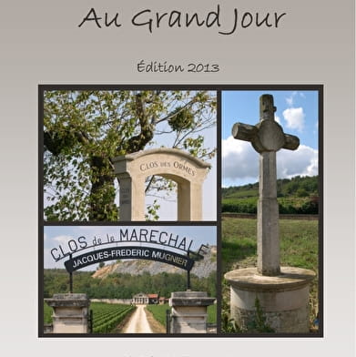 Côte de Nuits au Grand Jour - Reading discovery tour