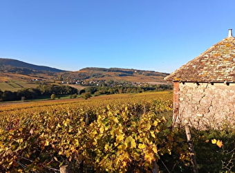 La Maison Dionysienne - SAINT-DENIS-DE-VAUX