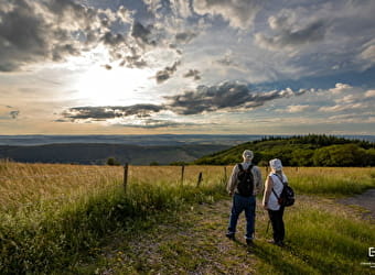 Le Mont Saint-Romain - BLANOT