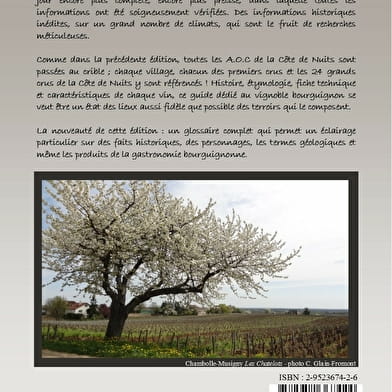 Côte de Nuits au Grand Jour - Reading discovery tour