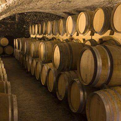 Château de la Greffiere