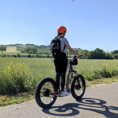 E-Trott ride in Saint-Bris-Le-Vineux - Vignobles et Sensations