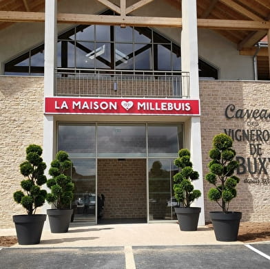 Millebuis par les Vignerons de Buxy