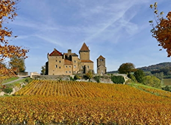 Maison d'Amis du Château de Pierreclos - PIERRECLOS