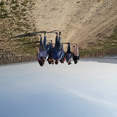 Guided tour of the Chablis vineyards