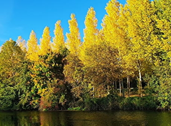 Flipper Nautic - Balade en bateau sur l'Yonne - VILLENEUVE-SUR-YONNE
