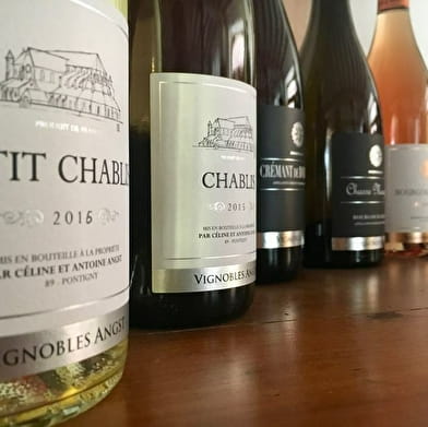 The Abbey of Pontigny, the origins of Chablis