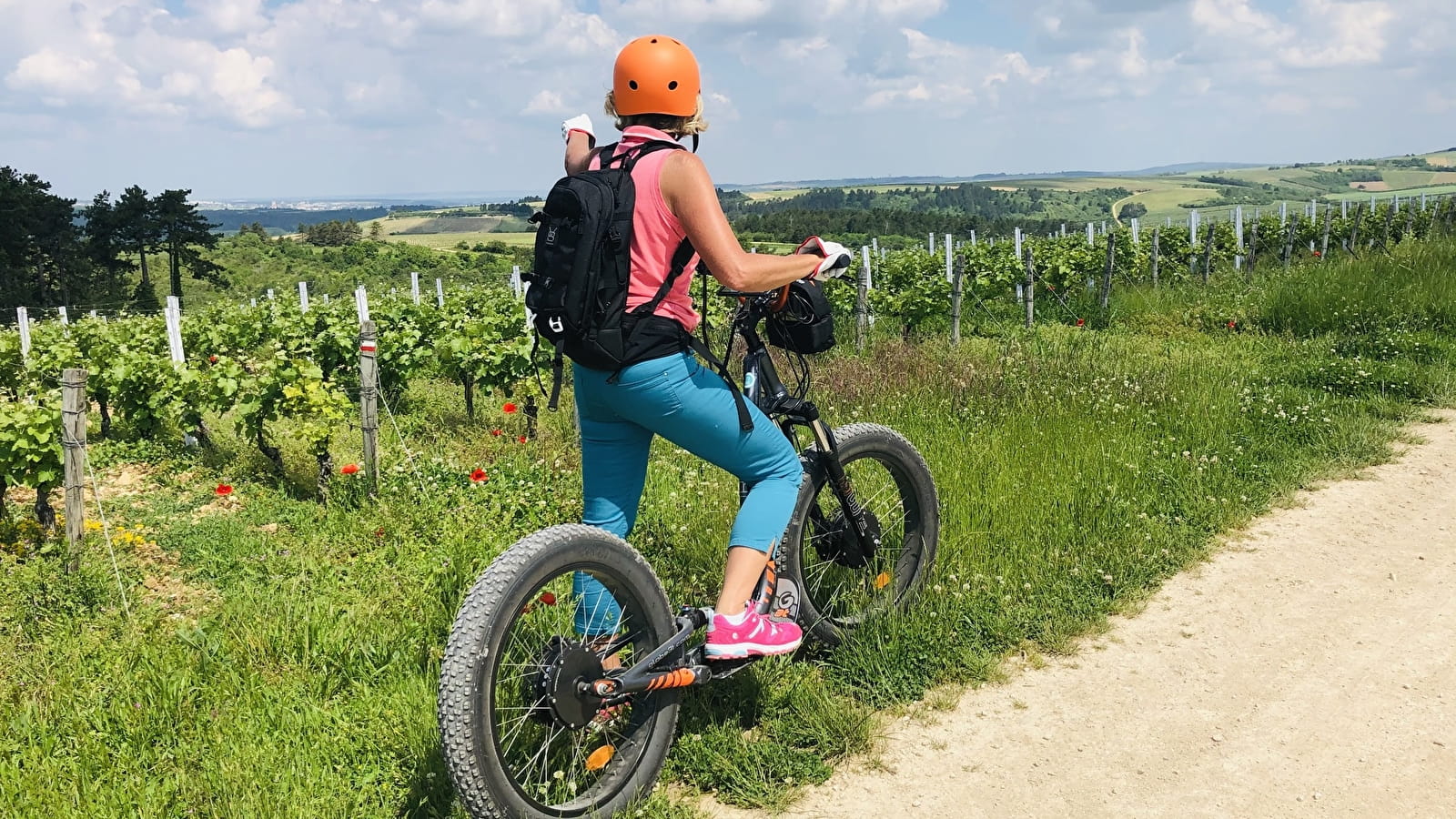 E-Trott ride in Saint-Bris-Le-Vineux - Vignobles et Sensations