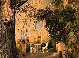 La Ferme du Bois de Plottes - PLOTTES