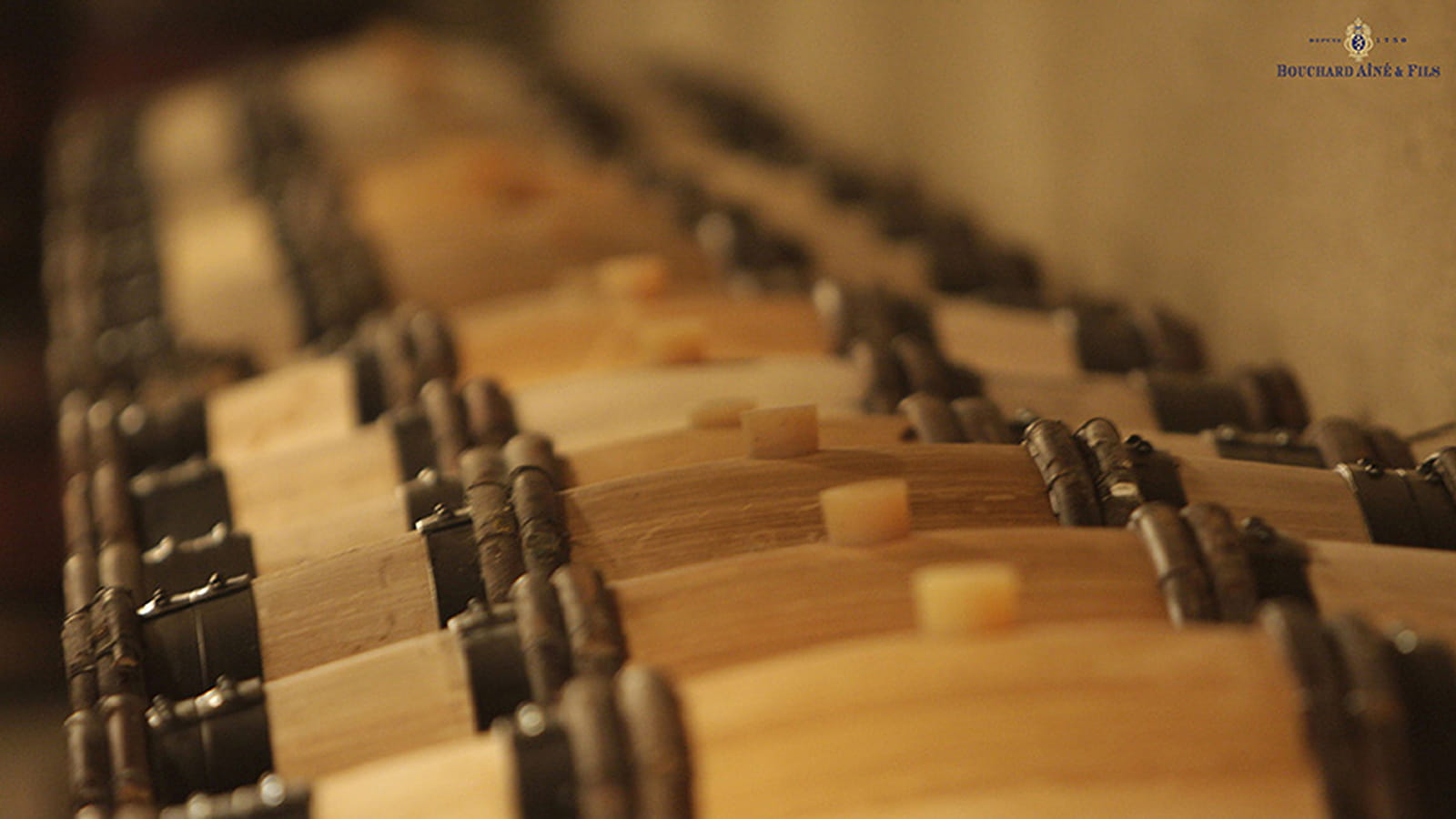 Bouchard Ainé & Fils