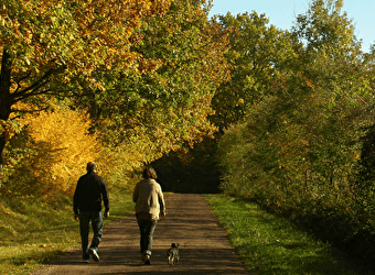 Forêt des Bertranges - RAVEAU